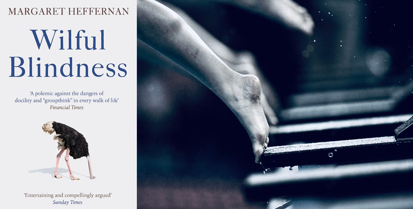 Blindness, Wilful & Collective,  Conflicts of Interest & Omertà