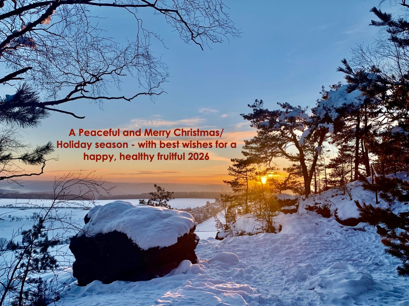 Merry Christmas & But Wishes For Good Tidings in 2026