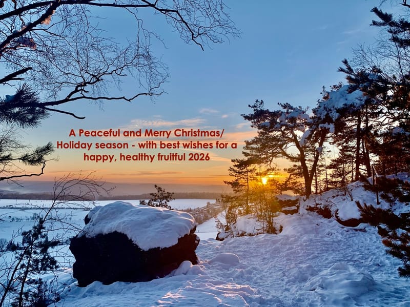 Merry Christmas & But Wishes For Good Tidings in 2026 post image